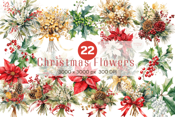 Reviewing Christmas Flowers Illustrations